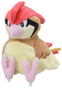 pidgeotto 1 lys